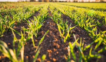 New Lecturer Meeting